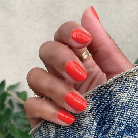 Spring Bestsellers Long-Lasting Polish System