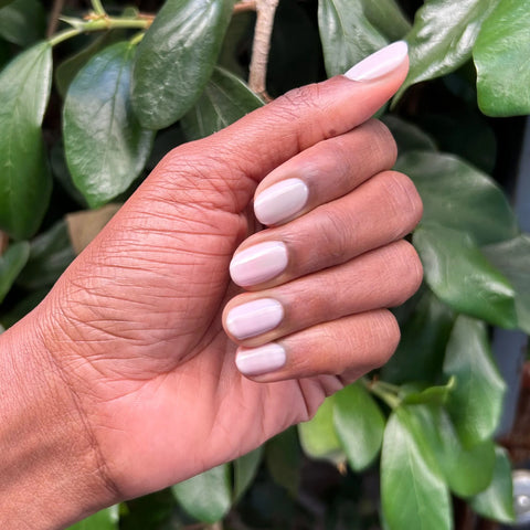 Spring 2026 Long-Lasting + Gel Set