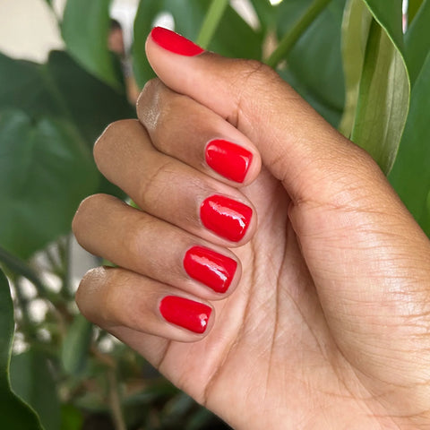 CV - Gel