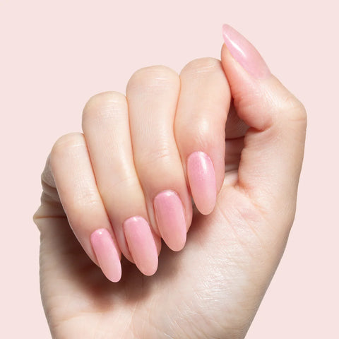 Champagne Chiffon - Builder Gel