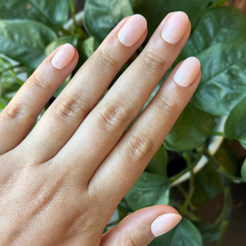 Sandy Shimmer - Press-On | Extra Short | Round